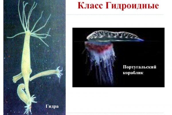 Кракен рабочий сайт