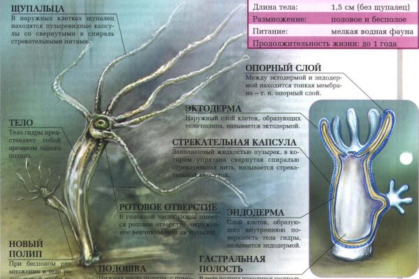 Кракен сайт маркетплейс