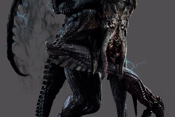 Kraken 20at